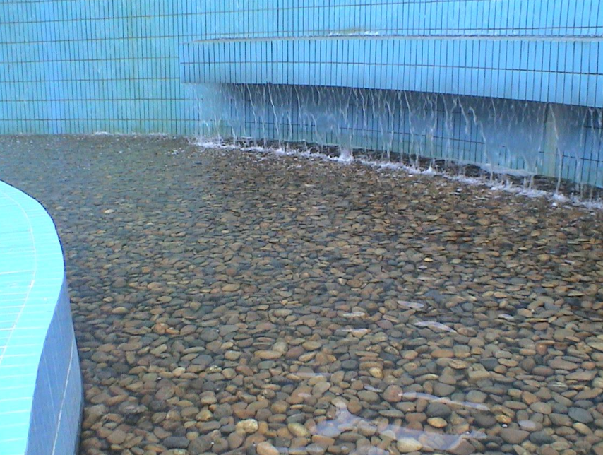 2004 年在云南省大理市建成日处理 5000 吨生活污水处理样榜巟程
